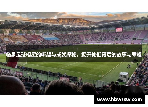 临泉足球明星的崛起与成就探秘，揭开他们背后的故事与荣耀