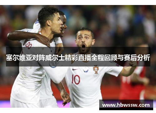 塞尔维亚对阵威尔士精彩直播全程回顾与赛后分析