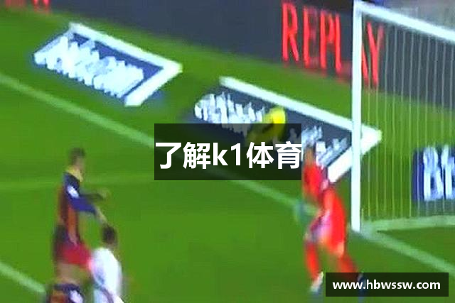 了解k1体育